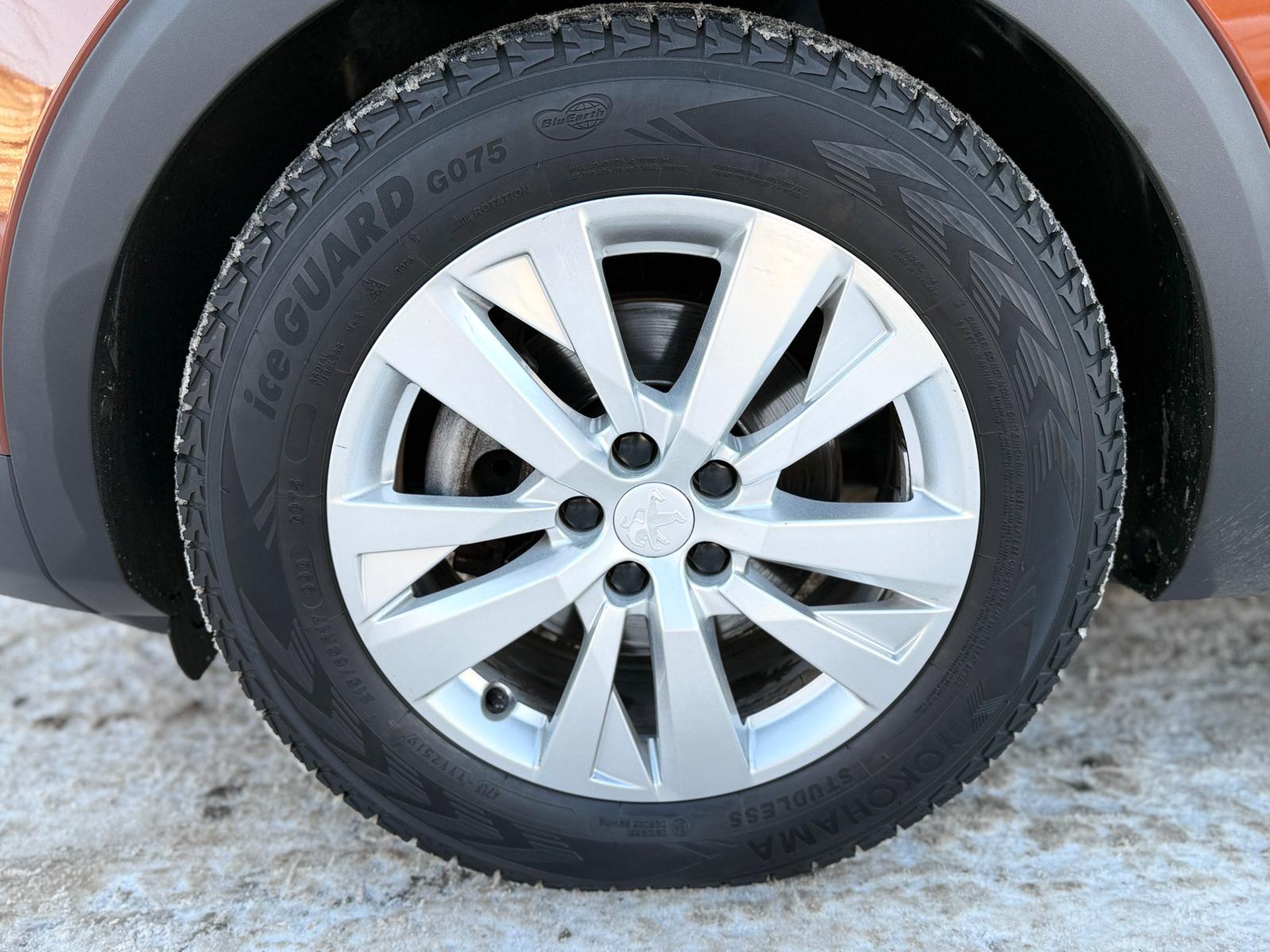 WhatsApp Image 2026 01 21 at 15.33.551